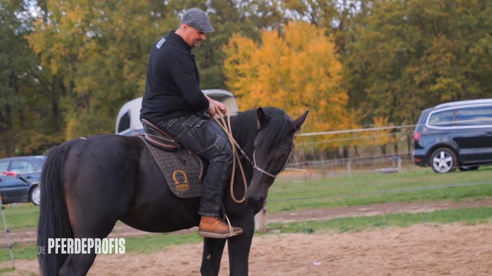 Gunnar lässt sich tatsächlich reiten! Gunnar lässt sich tatsächlich reiten!