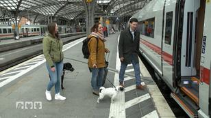 Die Themen heute bei "hundkatzemaus"! Die Themen heute bei "hundkatzemaus"!