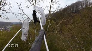 Katze Frieda muss gerettet werden Katze Frieda muss gerettet werden