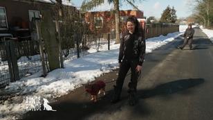 Generalprobe für Problemhund Oscar! Generalprobe für Problemhund Oscar!