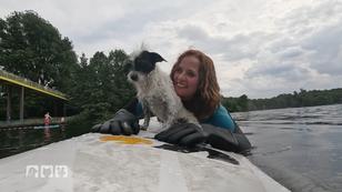 Mit dem Hund ins kühle Nass Mit dem Hund ins kühle Nass