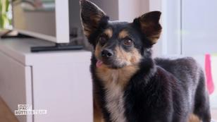 Marcel stattet Evelyn und Alvin einen Besuch ab Marcel stattet Evelyn und Alvin einen Besuch ab