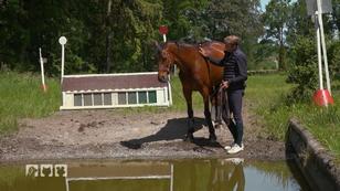 Vincent gewöhnt sich langsam ans Wasser Vincent gewöhnt sich langsam ans Wasser