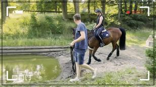 Vincent soll mit Reiterin durchs Wasser Vincent soll mit Reiterin durchs Wasser