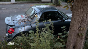 Vogelkot - Der Entgegner für alle Autolacke Vogelkot - Der Entgegner für alle Autolacke
