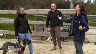 Trainerin Ellen greift ein Trainerin Ellen greift ein
