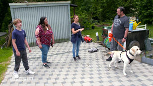Der temperamentvolle Labrador Louie braucht Beschäftigung Der temperamentvolle Labrador Louie braucht Beschäftigung