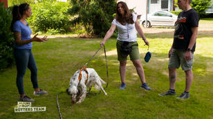 Dexters Futterbeutel-Training ist noch wenig erfolgreich Dexters Futterbeutel-Training ist noch wenig erfolgreich