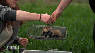 Freiheit für bedrohte Tierarten Freiheit für bedrohte Tierarten
