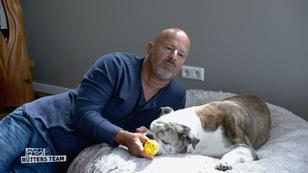 Seine Bulldogge Kai-Uwe wird älter Seine Bulldogge Kai-Uwe wird älter