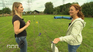 Curving - Ein Mix aus vielen Hundesportarten Curving - Ein Mix aus vielen Hundesportarten