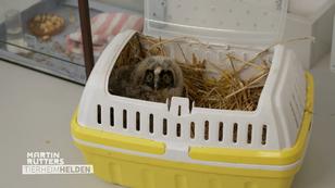 Martin zu Besuch im Tierheim München Martin zu Besuch im Tierheim München