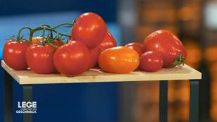 Tomate ist nicht gleich Tomate! Tomate ist nicht gleich Tomate!