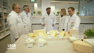 Pizza-Analyse im Labor: Welcher Käse macht das Rennen? Pizza-Analyse im Labor: Welcher Käse macht das Rennen?