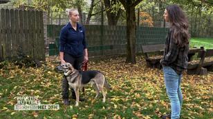 Ellen und Chantal trainieren mit Hund Toni Ellen und Chantal trainieren mit Hund Toni