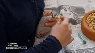 Neuland für den Hundeprofi Neuland für den Hundeprofi