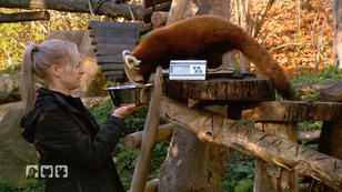 Tierpflege in der Zoom Erlebniswelt Tierpflege in der Zoom Erlebniswelt