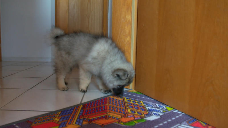 Skadi - Mit voller Blase auf Erkundungstour