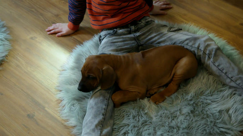 Konrad darf die Kinderzimmer kennenlernen