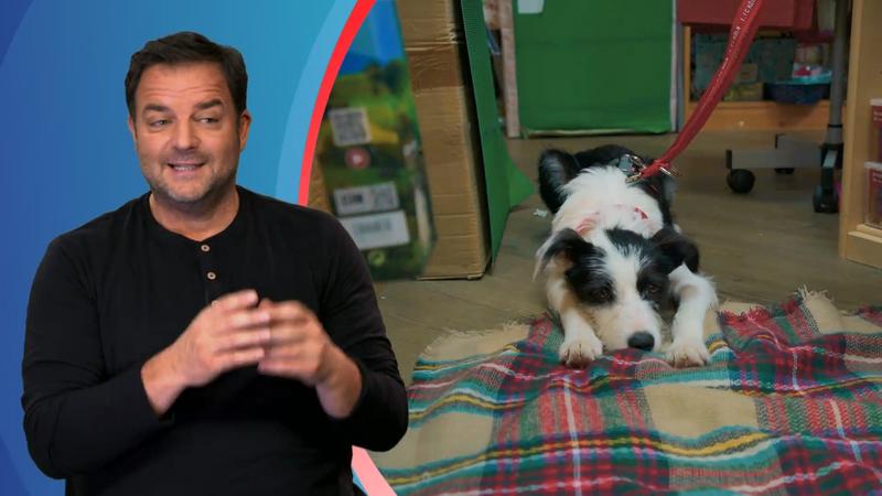 Idefix erster Tag im Laden