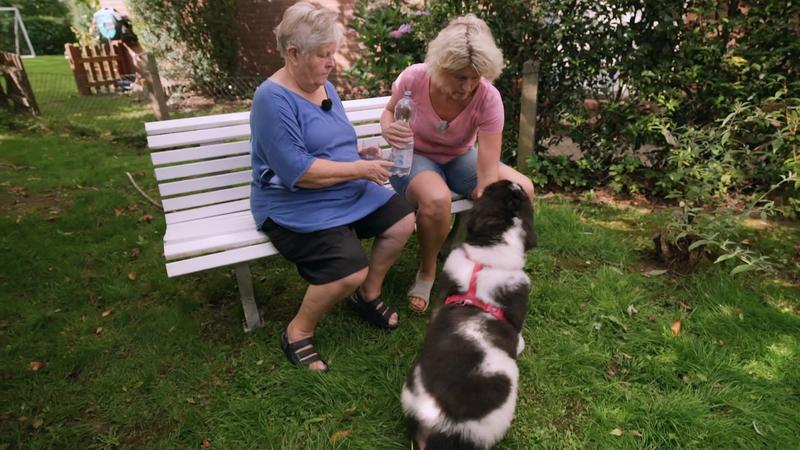 Ist Dana ruhiger geworden?