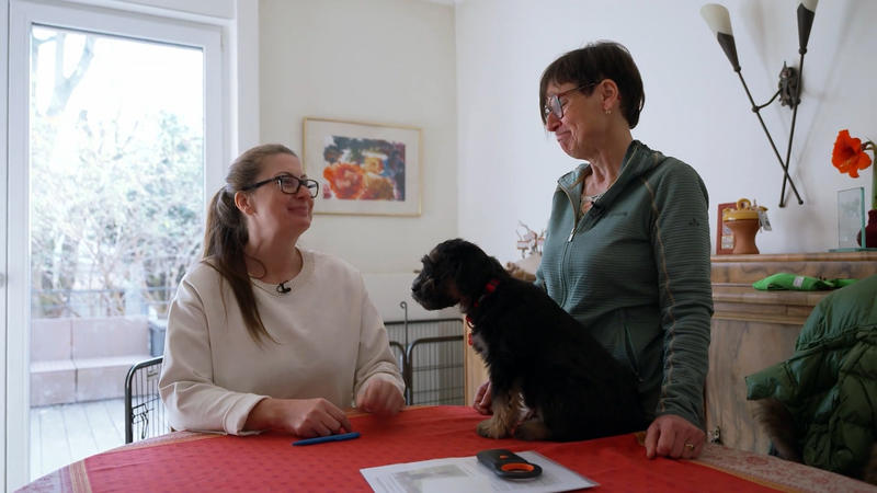 Nicole holt Nika ab: Wie startet das neue Familienmitglied in sein großes Abenteuer?