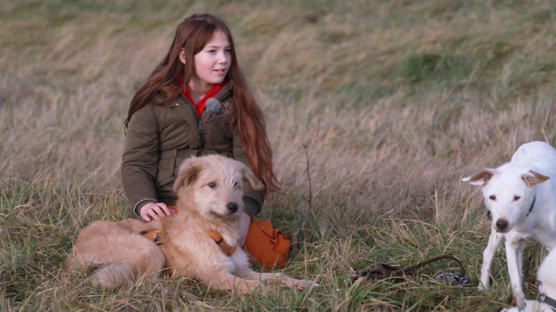 Seniorenhunde, neues Zuhause, neue Regeln: Wie gut ist Jabba inzwischen angekommen?