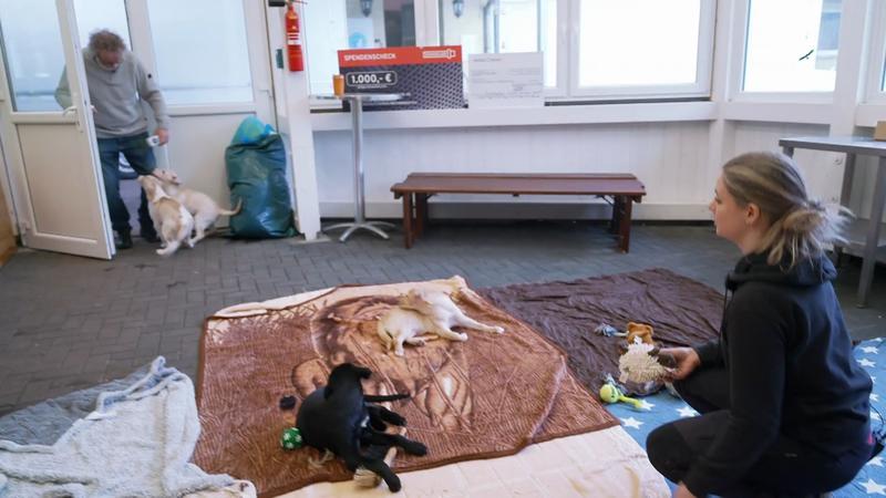 Ein Handicap ist kein Hindernis