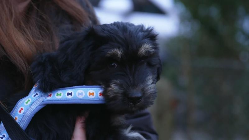 Nikas erste Schritte vor die Tür