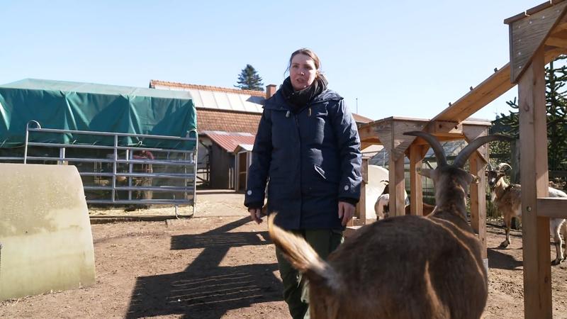 In der Arche Oyten herrscht täglicher Dauereinsatz