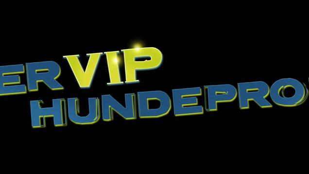 Der V.I.P. Hundeprofi