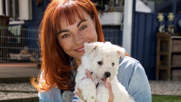 Vox Now Hundkatzemaus