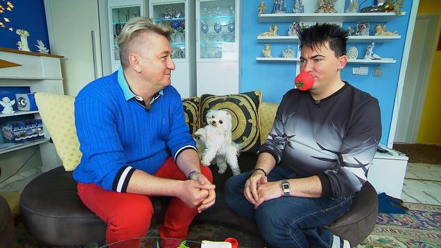 Allestester Werden Allestester Werden