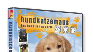 Alles zum Thema Hund und Katze