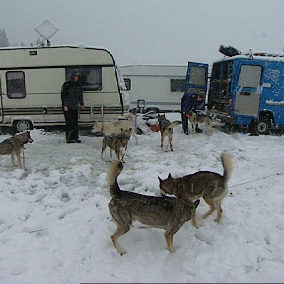 Tiergeschichten 3 - Bild 2 - Camping im Schnee