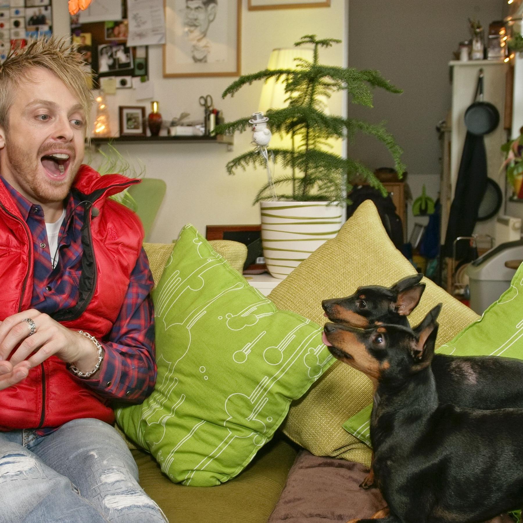 VOX \Der Hundeprofi\ VOX \Der Hundeprofi\
