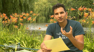 Auch Veganer können pummelig sein