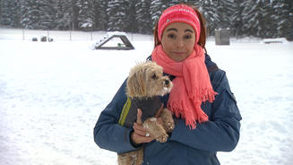 So kommen Hunde gut durch den Winter