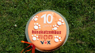 Bei der Party ist ein Kater garantiert
