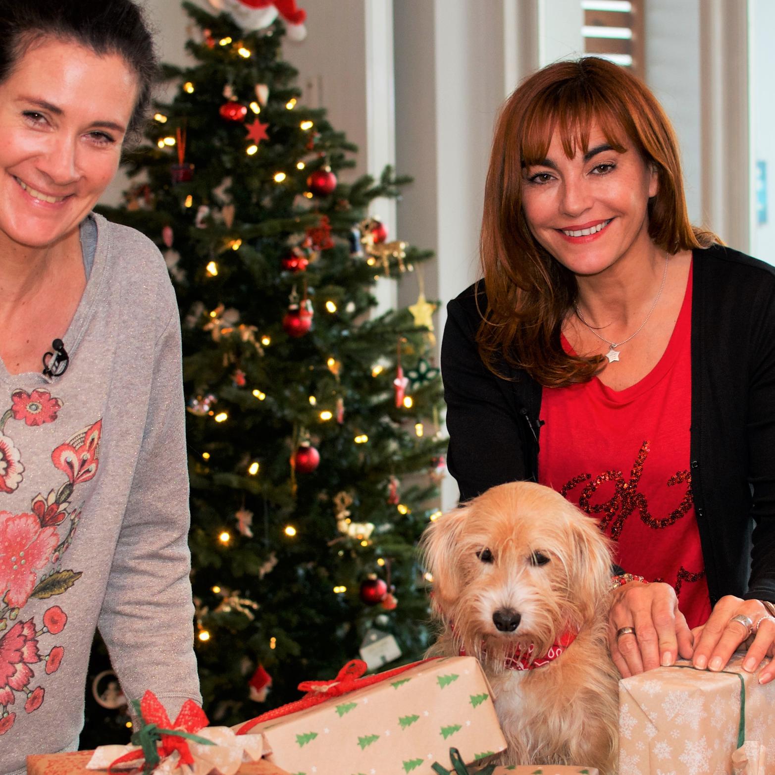 Diana - sichere Weihnachten fr Hunde VOX DOCMA TV.jpeg