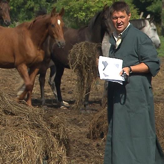Tiergeschichten3 - VOX-DOCMA TV - Amtsveterinr Dr. Jrg Pfeiffer im Einsatz Tiergeschichten3 - VOX-DOCMA TV - Amtsveterinr Dr. Jrg Pfeiffer im Einsatz