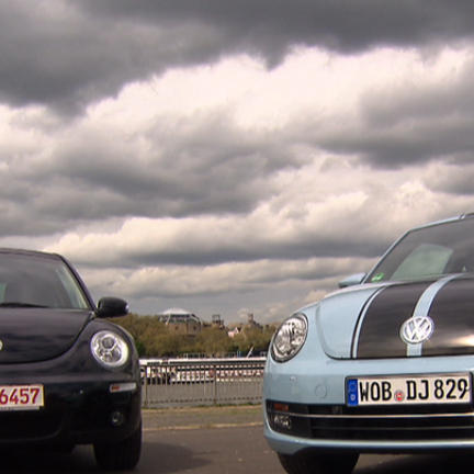 beetle2 beetle2