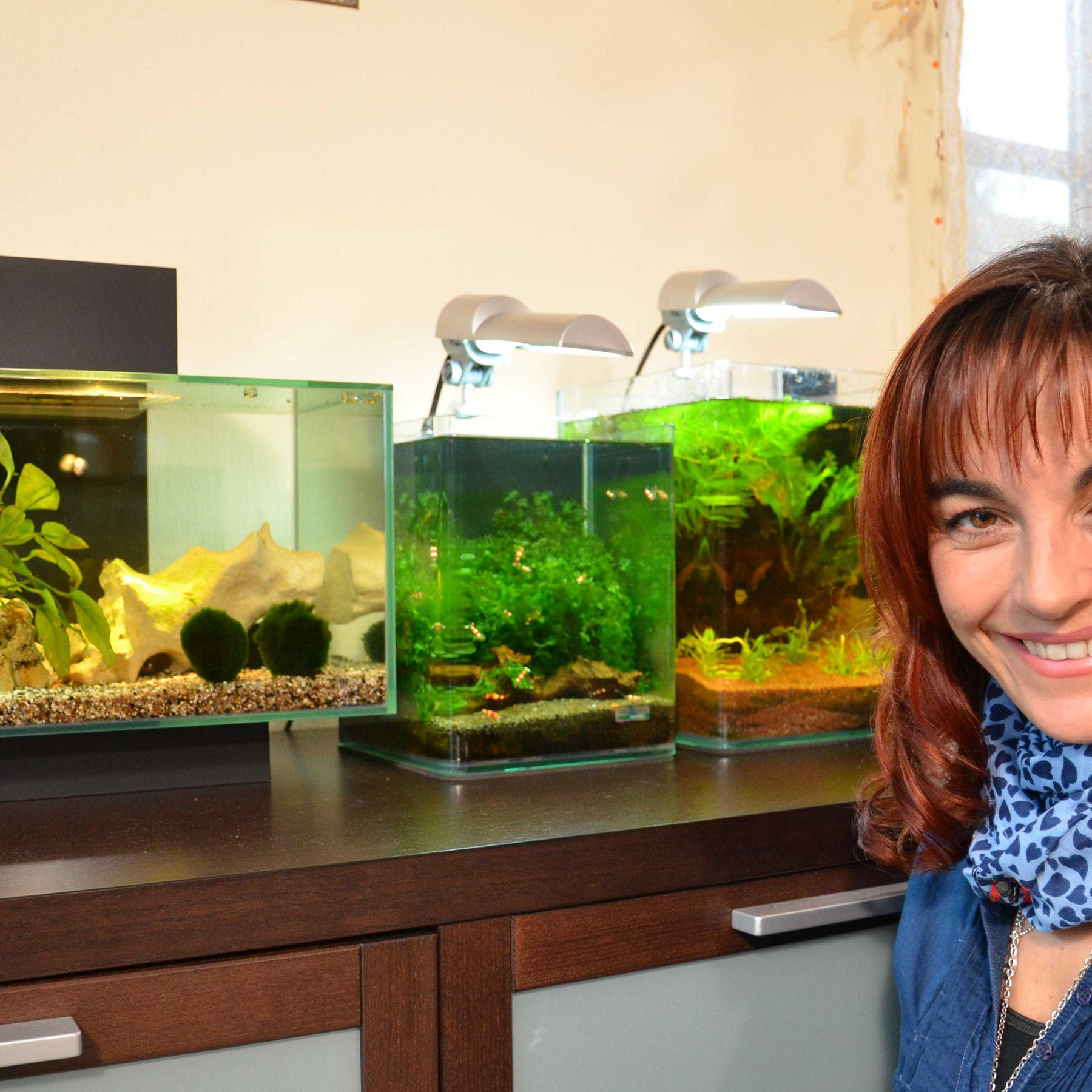 Tiergeschichten 2 - Diana und verschiedene Nano-Aquarien.jpg Tiergeschichten 2 - Diana und verschiedene Nano-Aquarien.jpg