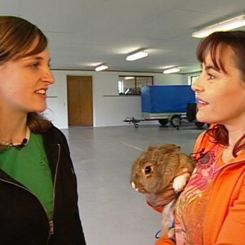 tiergeschichten2 a2 tiergeschichten2 a2