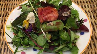 Gemischter Blattsalat mit Ziegenkäse