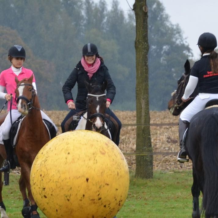 Vorschau1 - VOX-DOCMA TV-LARS SCHWELNUSS - Diana beim Pushball Vorschau1 - VOX-DOCMA TV-LARS SCHWELNUSS - Diana beim Pushball