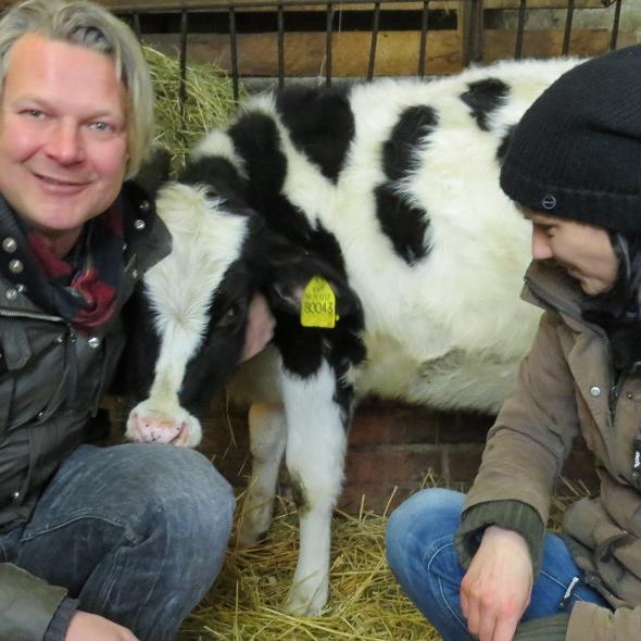 Tiere in Not - VOX-DOCMA TV - Frank Weber und Yvonne Ryll mit Kalb Frida Tiere in Not - VOX-DOCMA TV - Frank Weber und Yvonne Ryll mit Kalb Frida