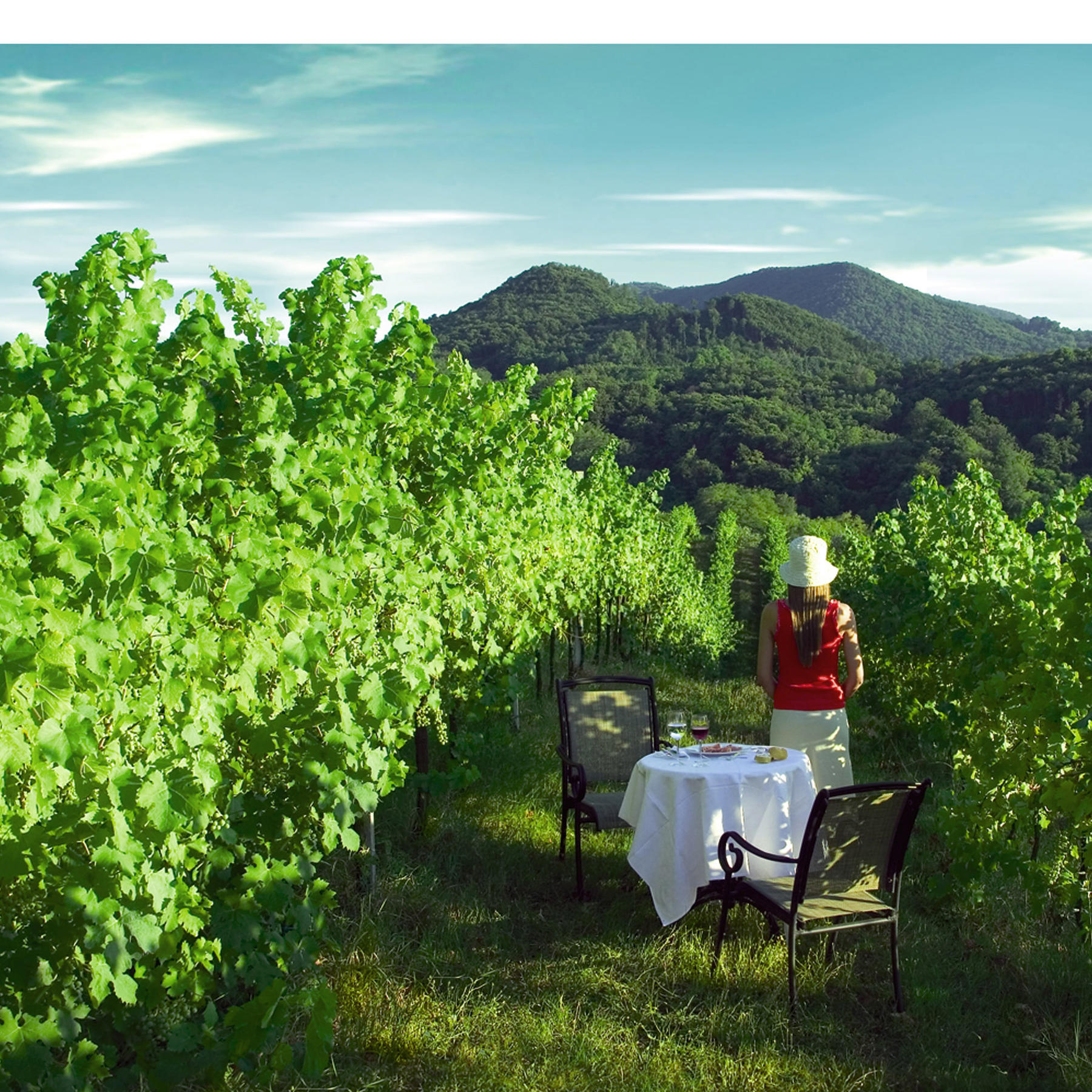 tavolo vigne.jpg