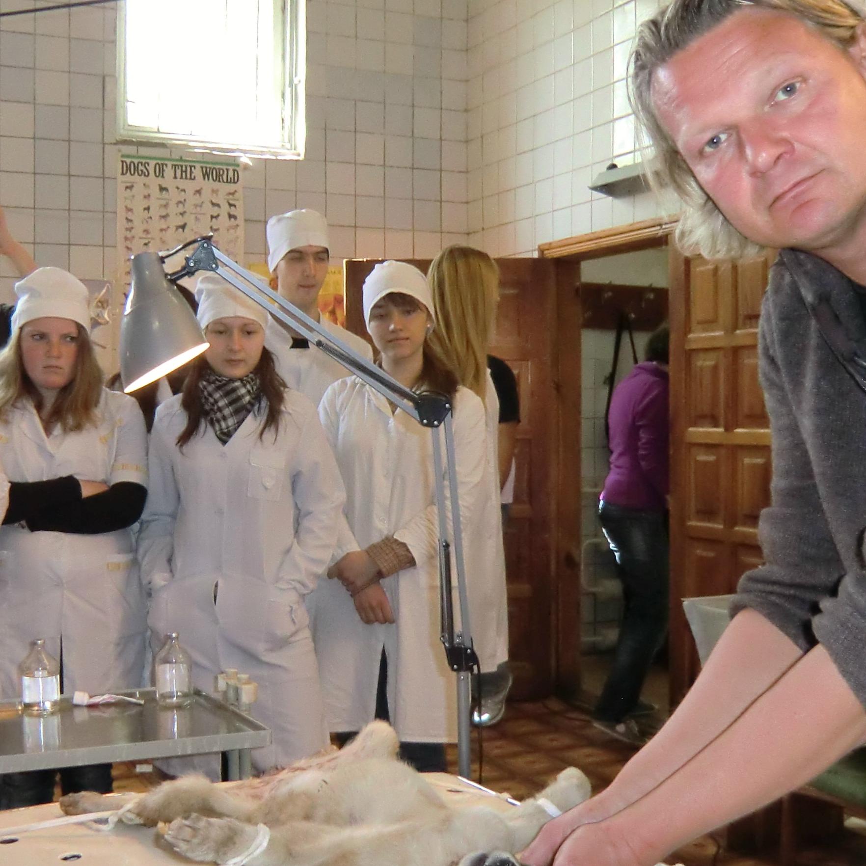 Tiere in Not - Studenten bei Kastration Tiere in Not - Studenten bei Kastration
