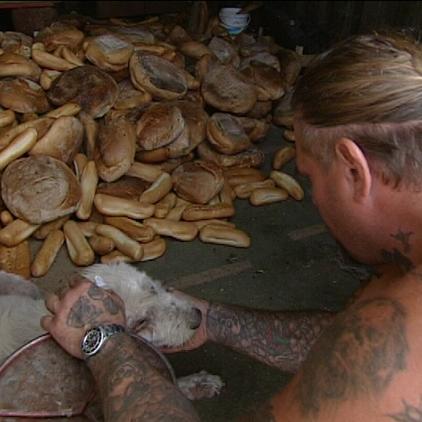 tiergeschichten3 hundgefunden tiergeschichten3 hundgefunden